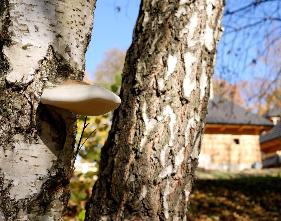 Osada Sudecka Vila Lądek-Zdrój Exterior foto