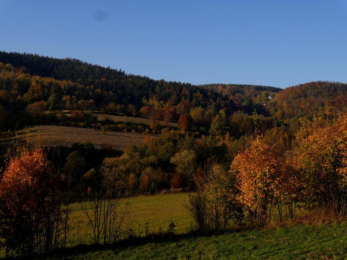 Osada Sudecka Vila Lądek-Zdrój Exterior foto