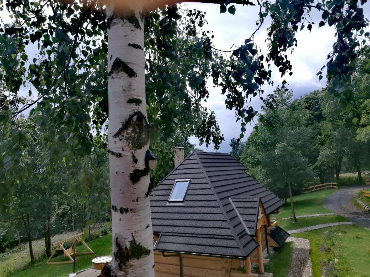 Osada Sudecka Vila Lądek-Zdrój Exterior foto